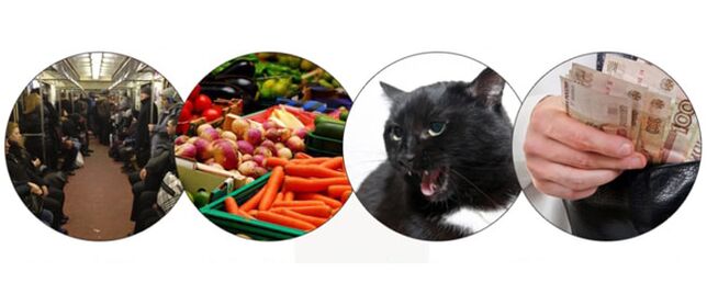 Métodos de infección por parasitos