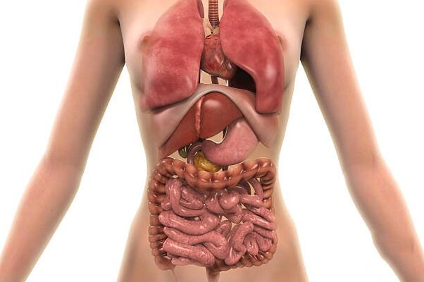 Parasitos no corpo humano