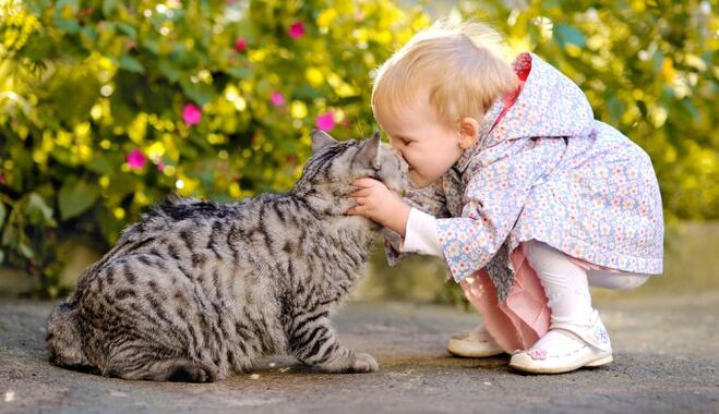 Un neno bica un gato e inféctase de vermes