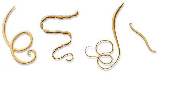 Tipos de parasitos no corpo